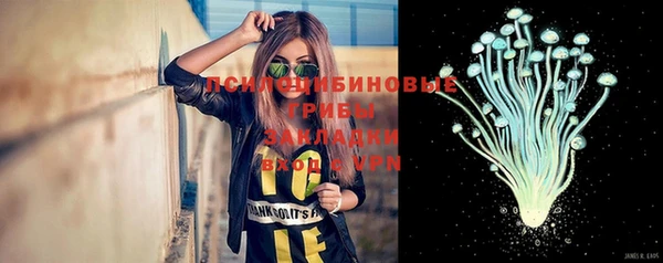 спиды Верея