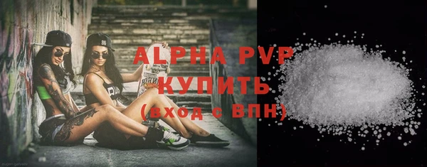 спиды Верея