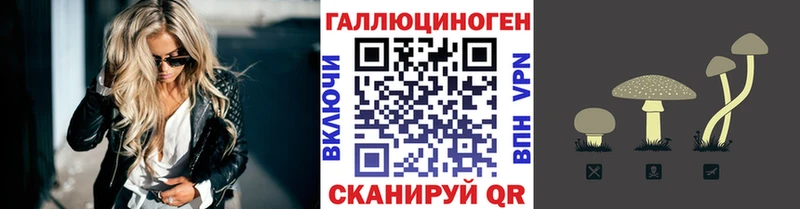 Псилоцибиновые грибы Cubensis  цены   Кизляр 