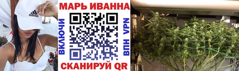 купить наркотики сайты  mega вход  Бошки Шишки план  Кизляр 